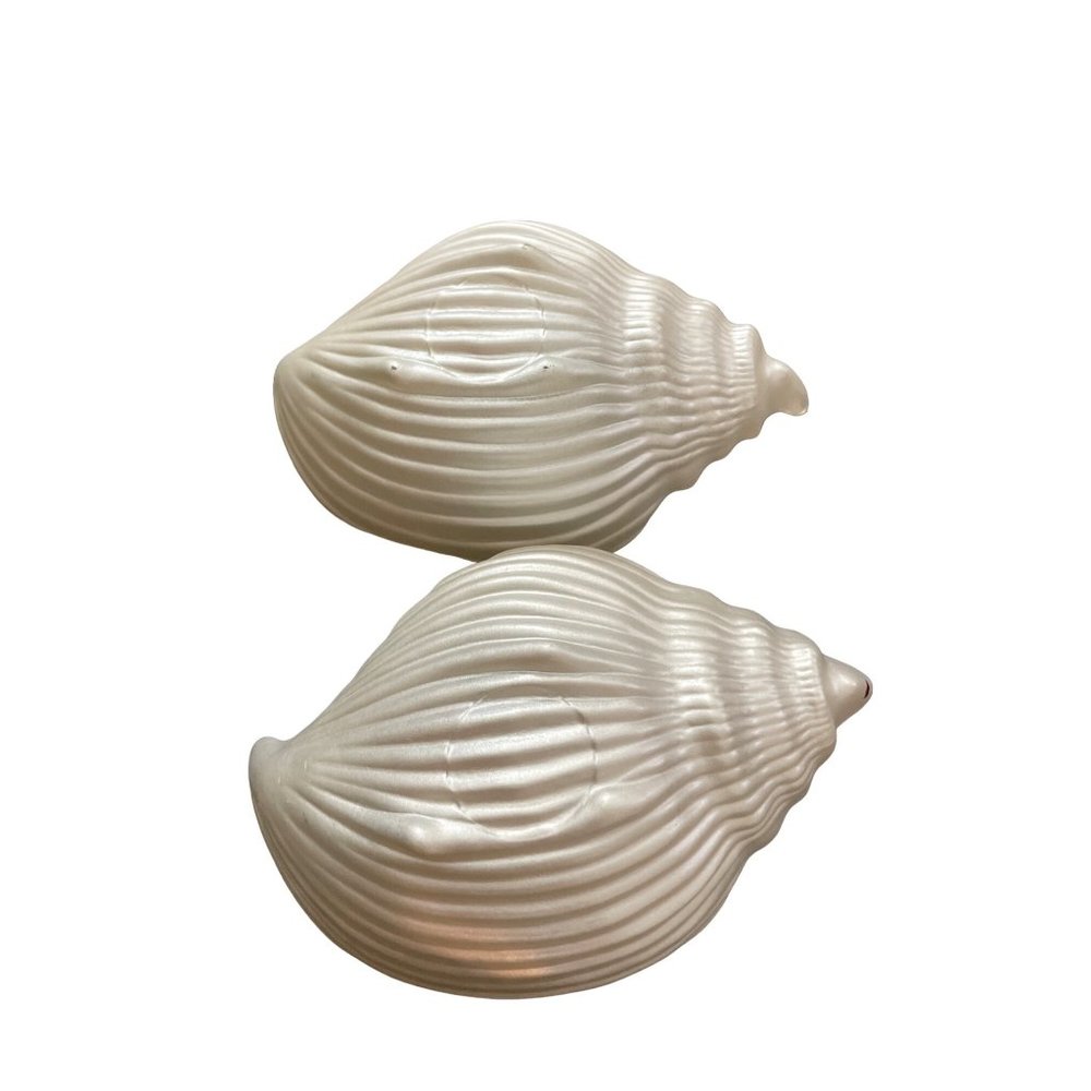 Sea shell - Picture 3 of 4